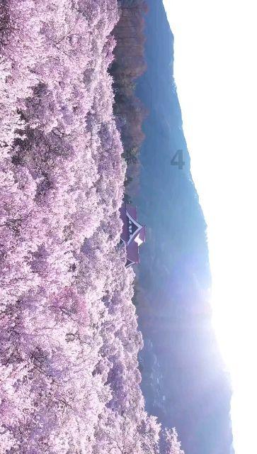 6大行超9.5万亿入市，支持实体经济，此举释放了什么金融信号？游戏画面