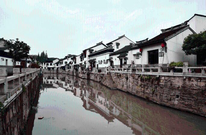 逃离橡子树种植地
